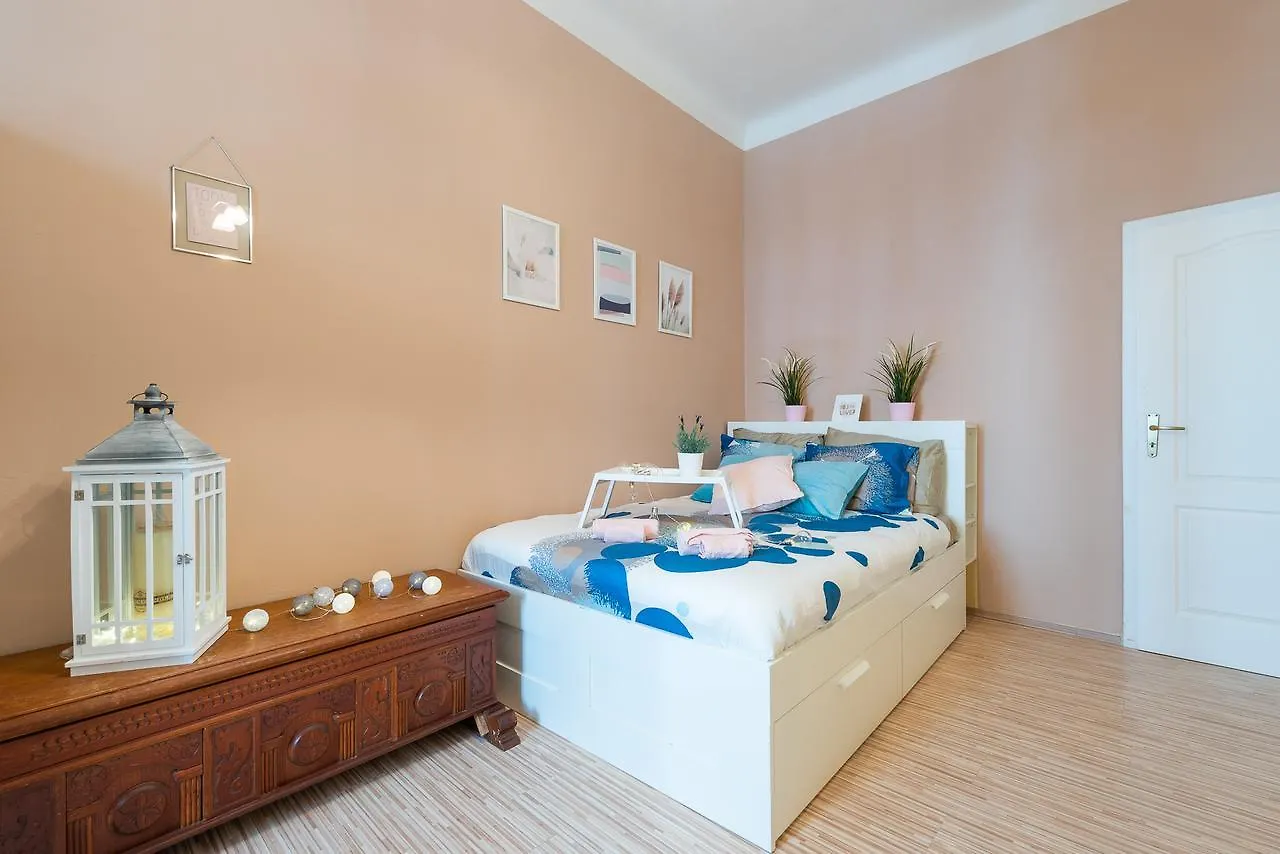 Supercentral Apartments Narodni Trida 布拉格